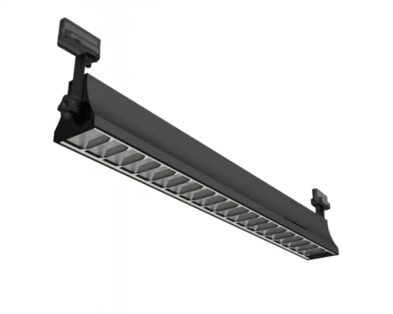 Spot Light - 0119