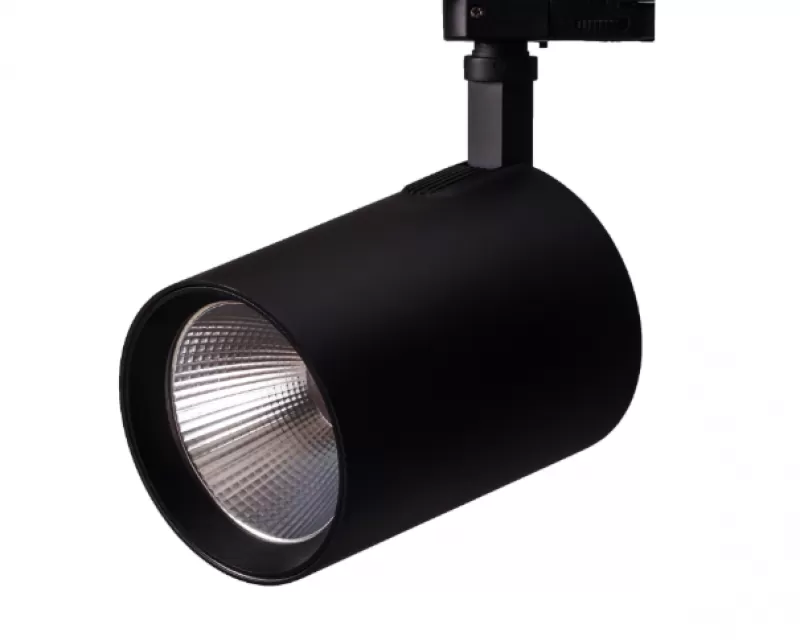 Spot Light - 0120